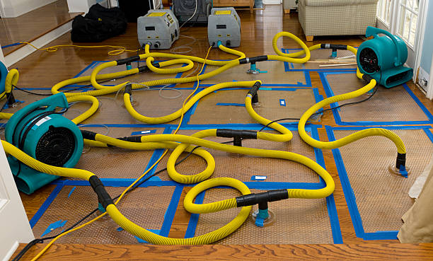 Professional Water Damage Restoration technician working in Stockton Springs, ME